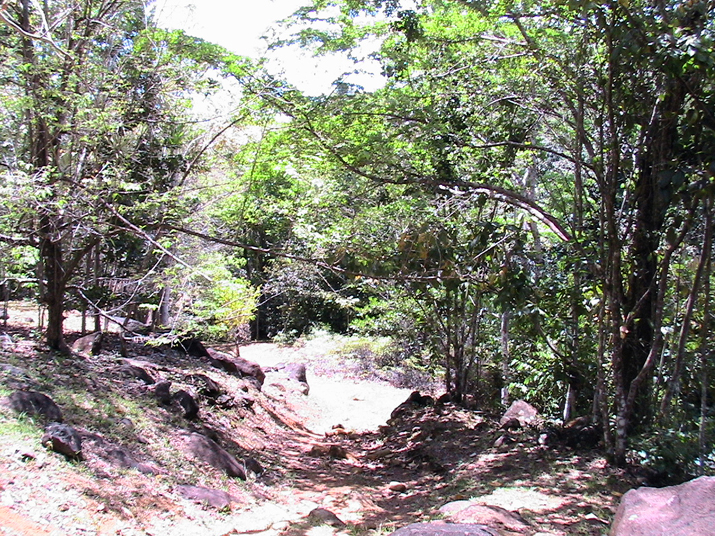 28 - Jardin des eaux 009.jpg